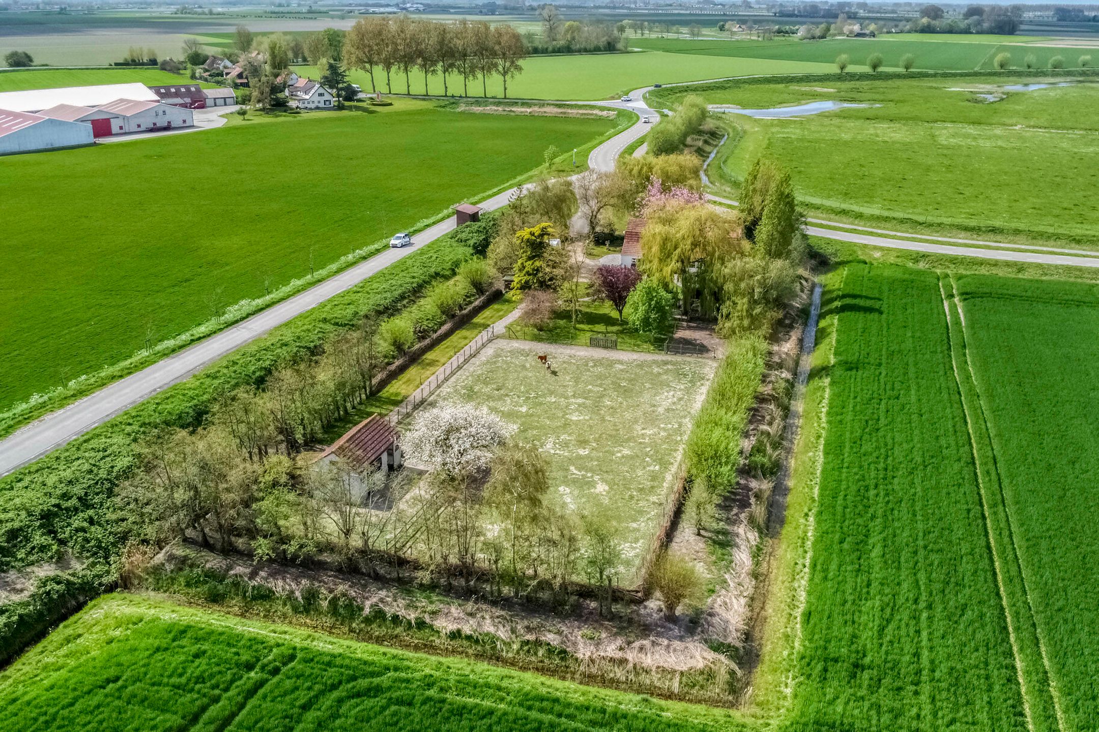 Photo 51 of Scherpbierseweg 15