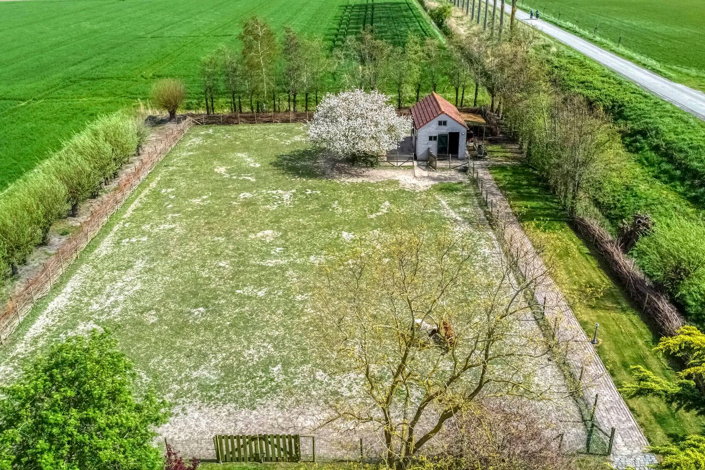 Photo 55 of Scherpbierseweg 15