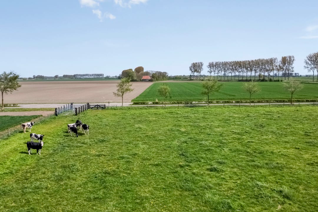 Photo 58 of Scherpbierseweg 15