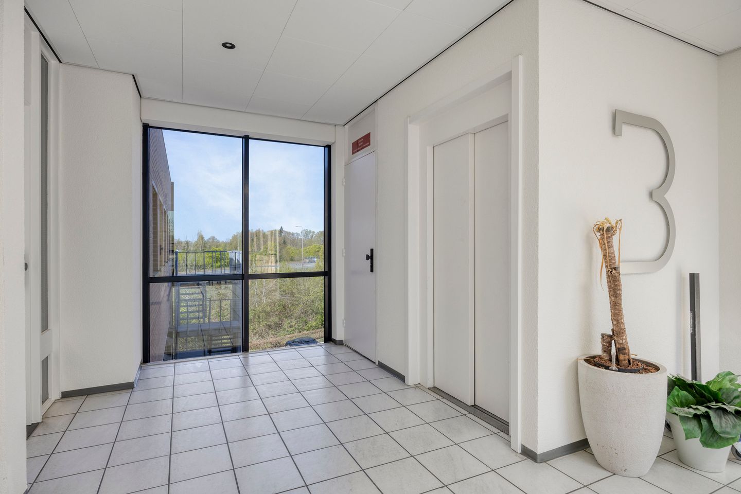 Bekijk foto 5 van Takkebijsters 17-G