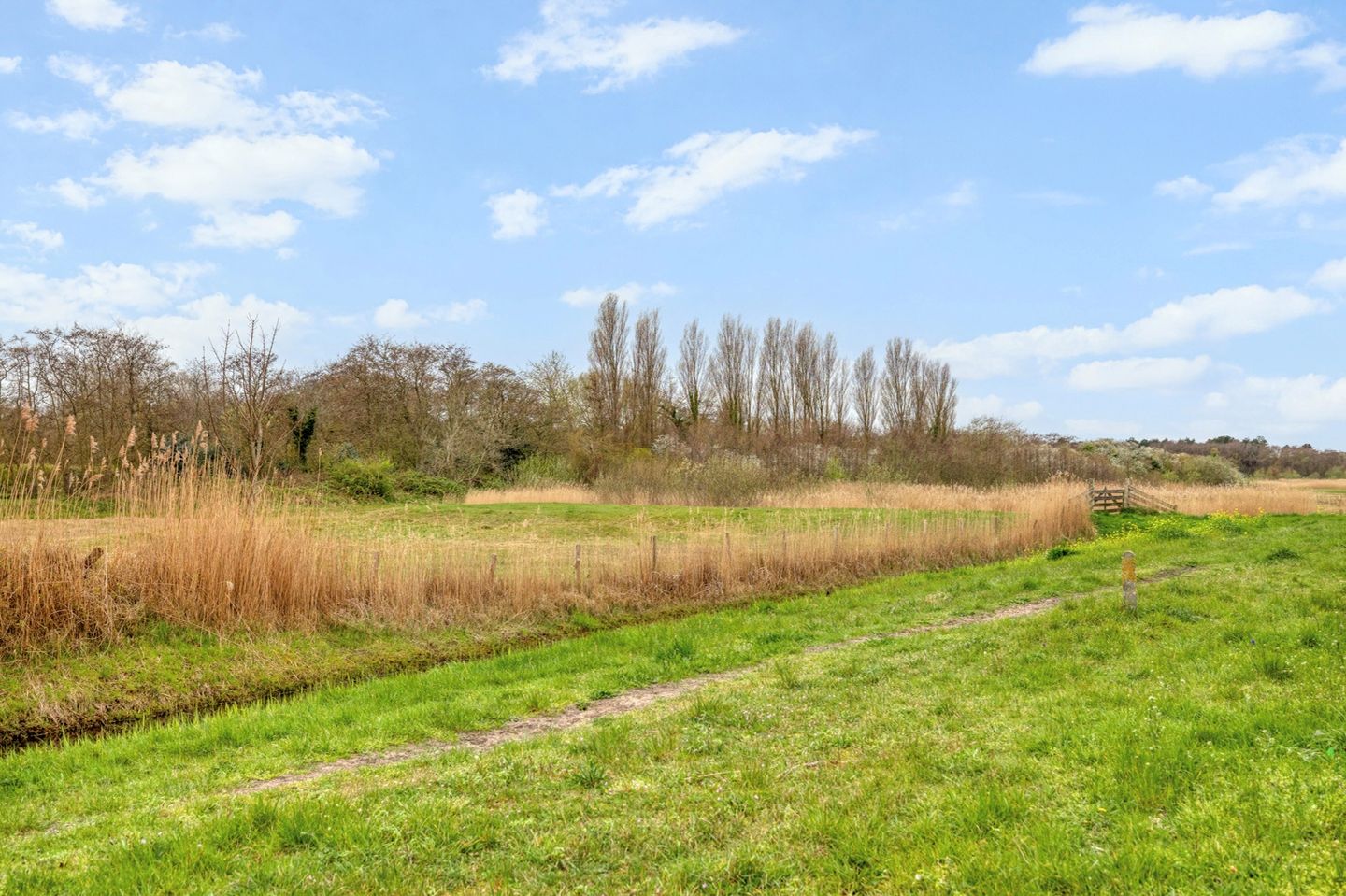 Foto 5 van Bremstraat 185