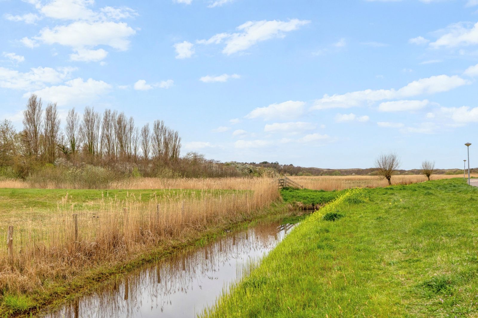 Foto 6 van Bremstraat 185