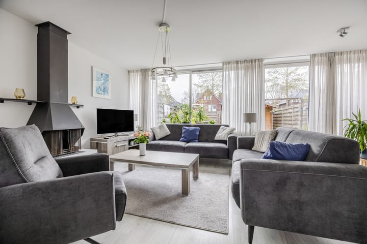 Foto 3 van de Lariks 7