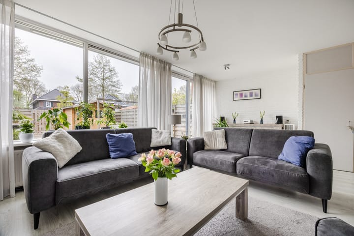 Foto 4 van de Lariks 7