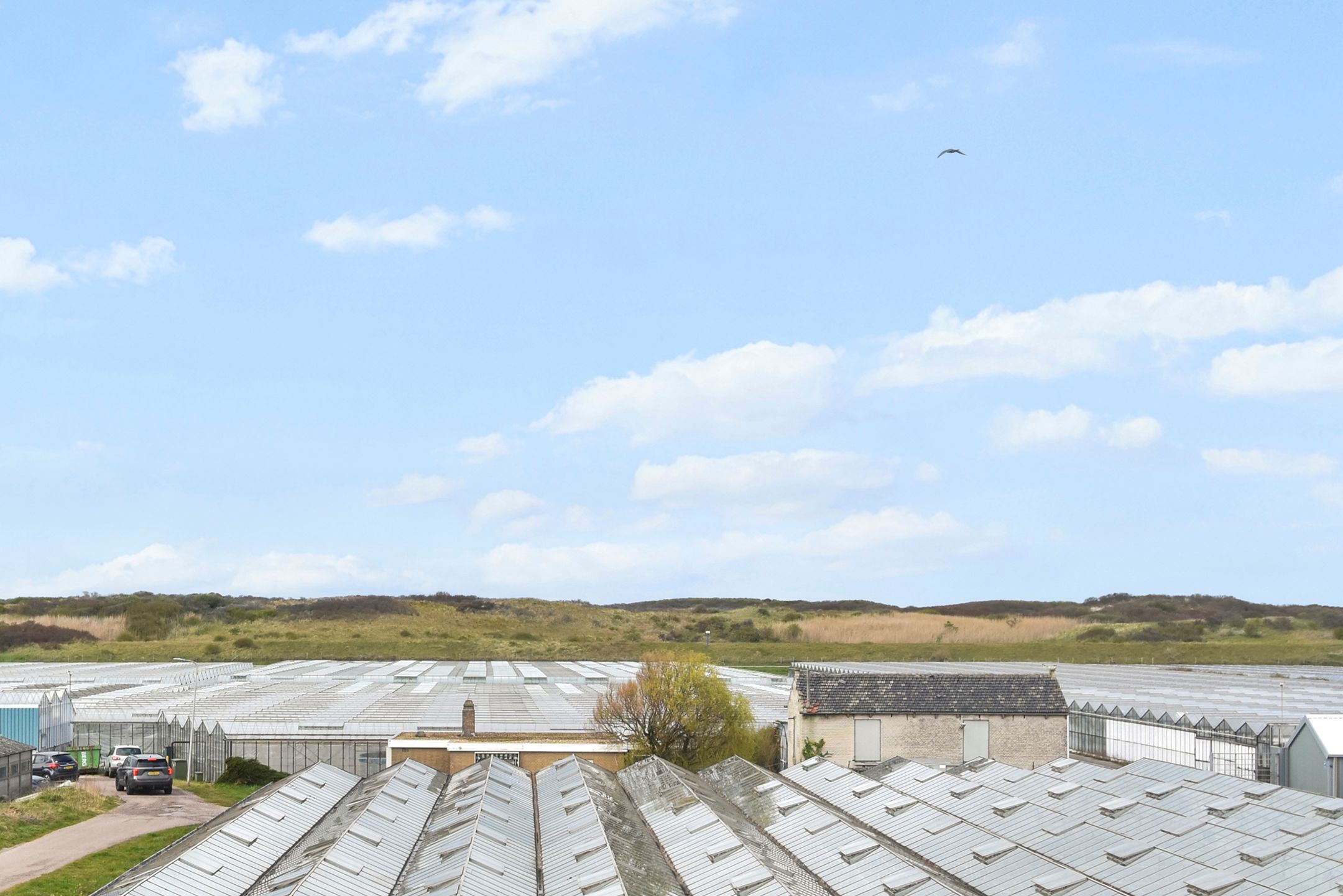 Foto 42 van Zeereep 38