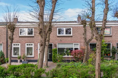 Oranjestraat thumbnail