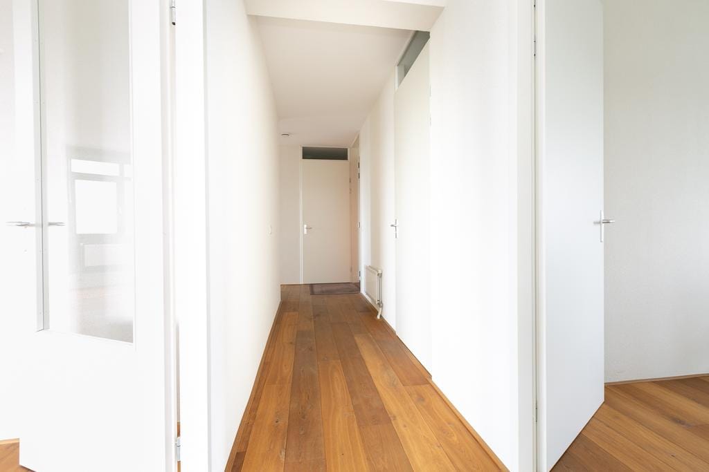 Foto 17 van Papyruspad 109