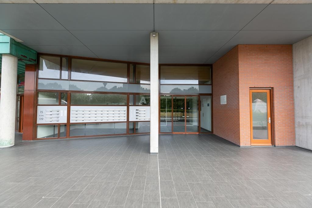 Foto 32 van Papyruspad 109