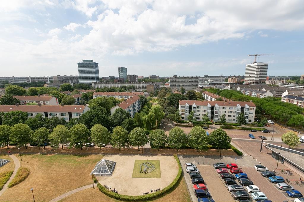 Foto 36 van Papyruspad 109