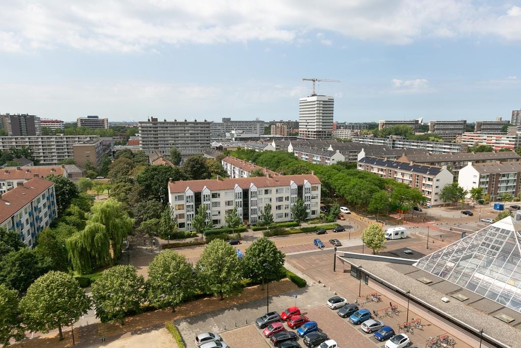 Foto 37 van Papyruspad 109