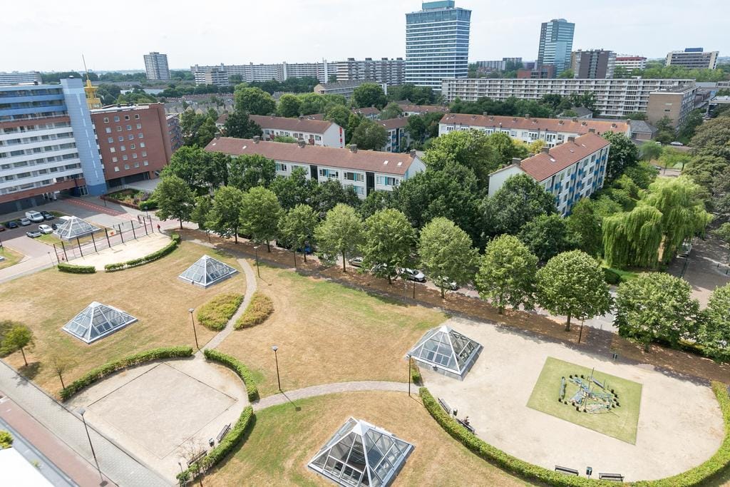 Foto 38 van Papyruspad 109