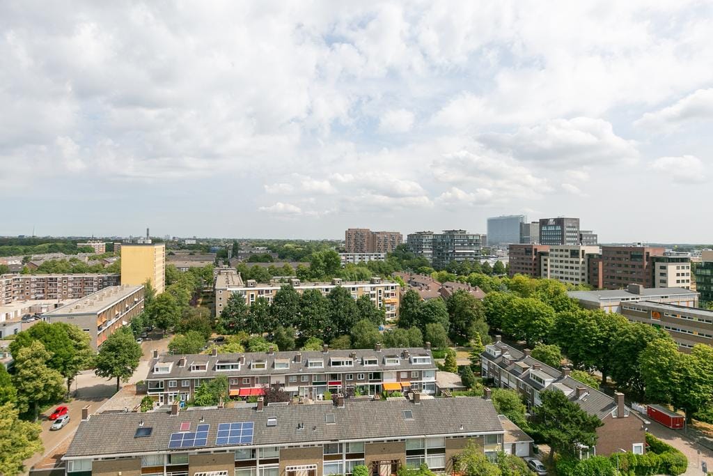 Foto 39 van Papyruspad 109