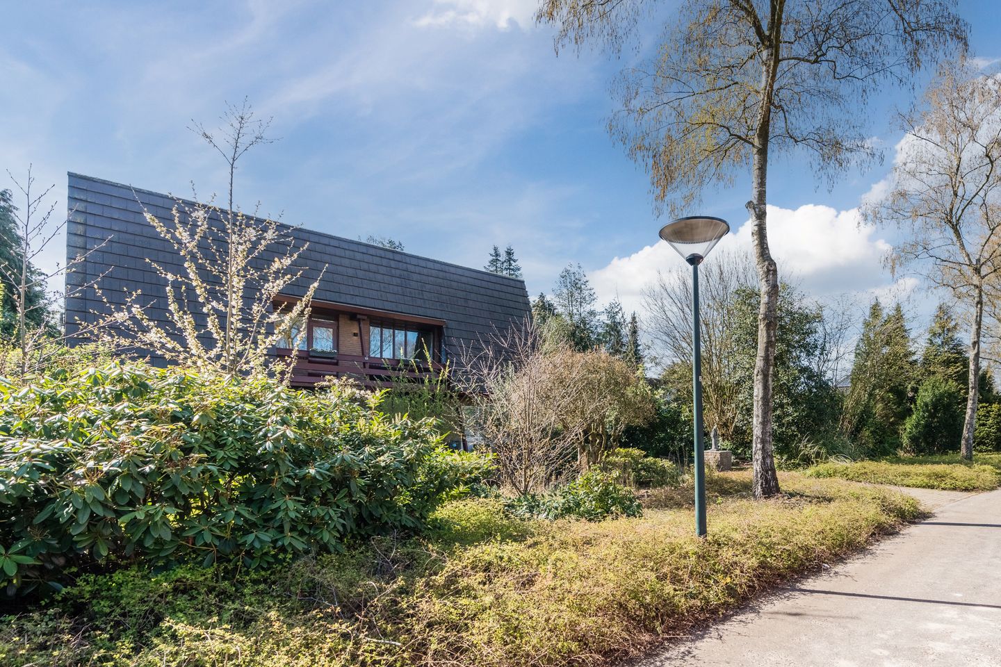 Foto 5 van Sporkehout 23