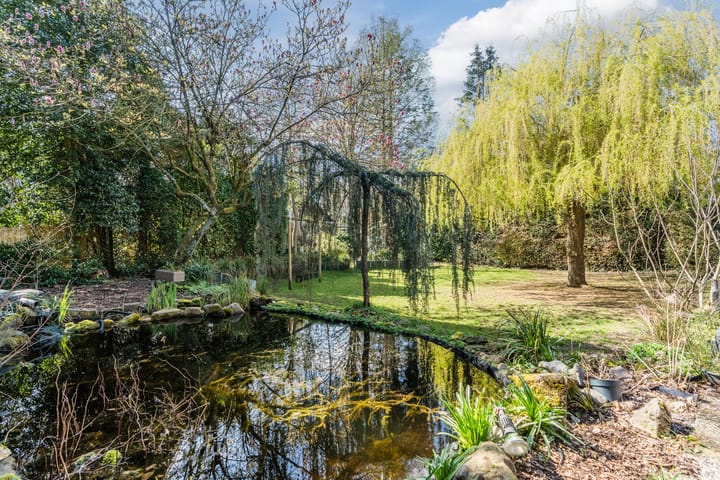 Photo 4 of Sporkehout 23