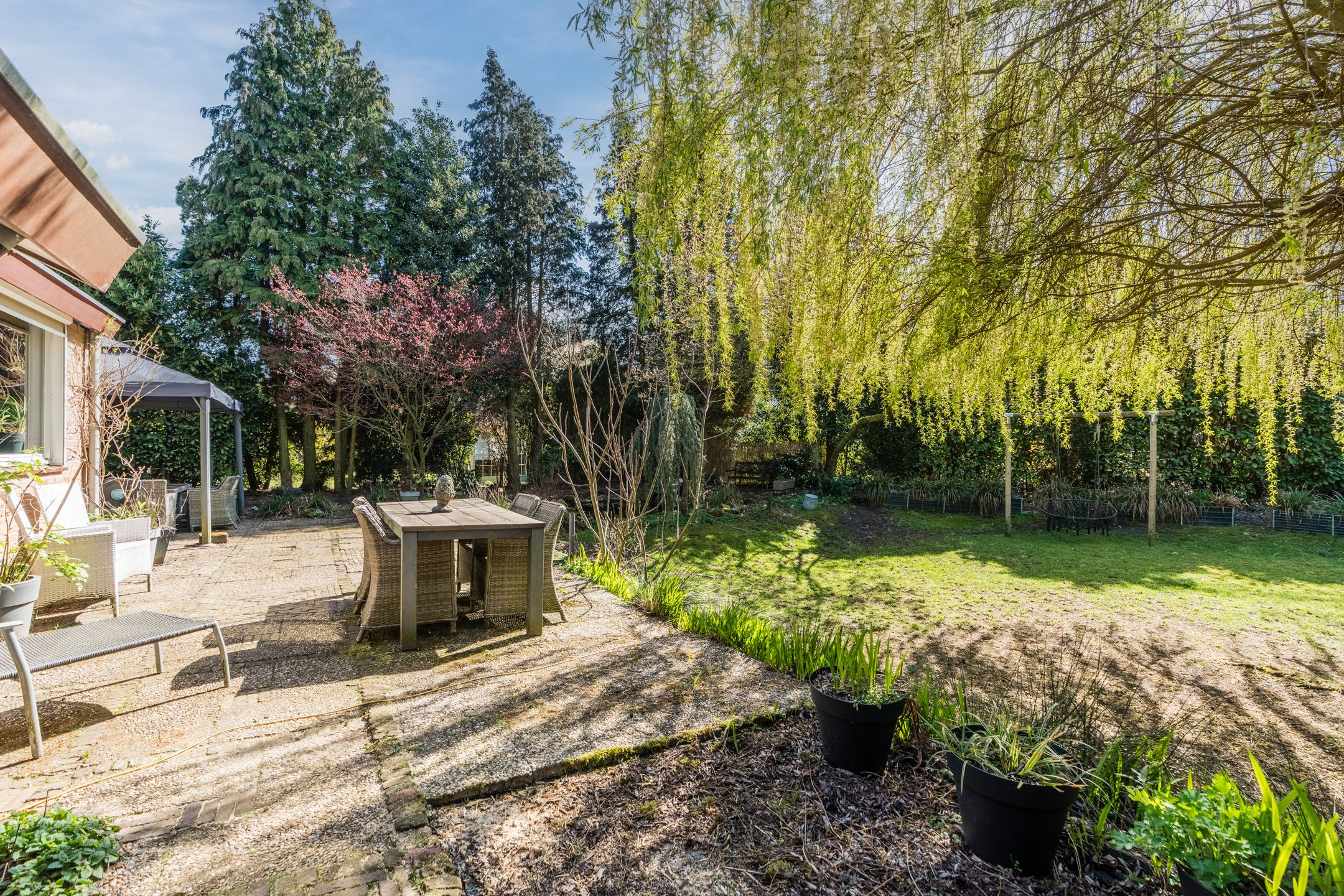 Foto 66 van Sporkehout 23