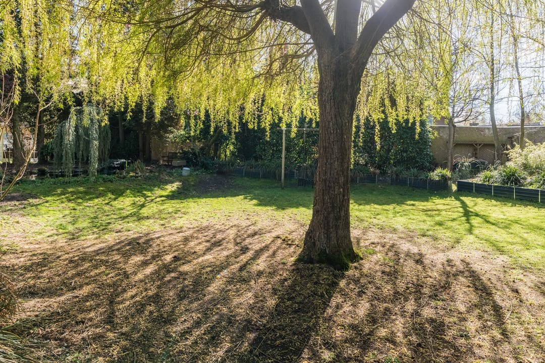 Foto 68 van Sporkehout 23