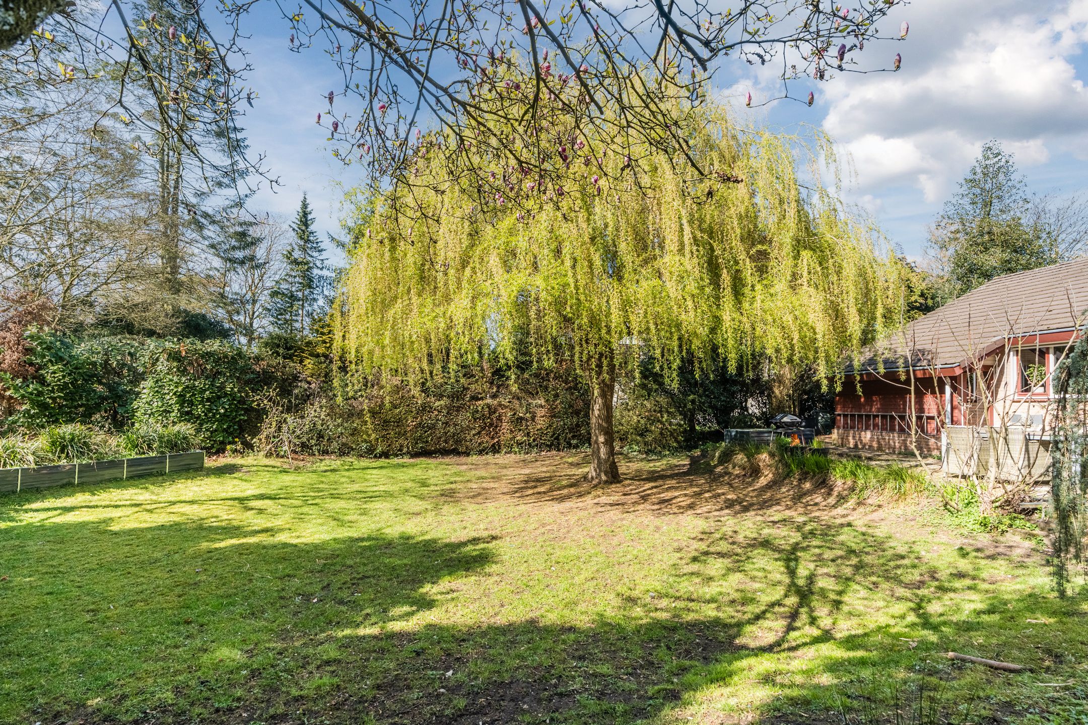 Foto 72 van Sporkehout 23