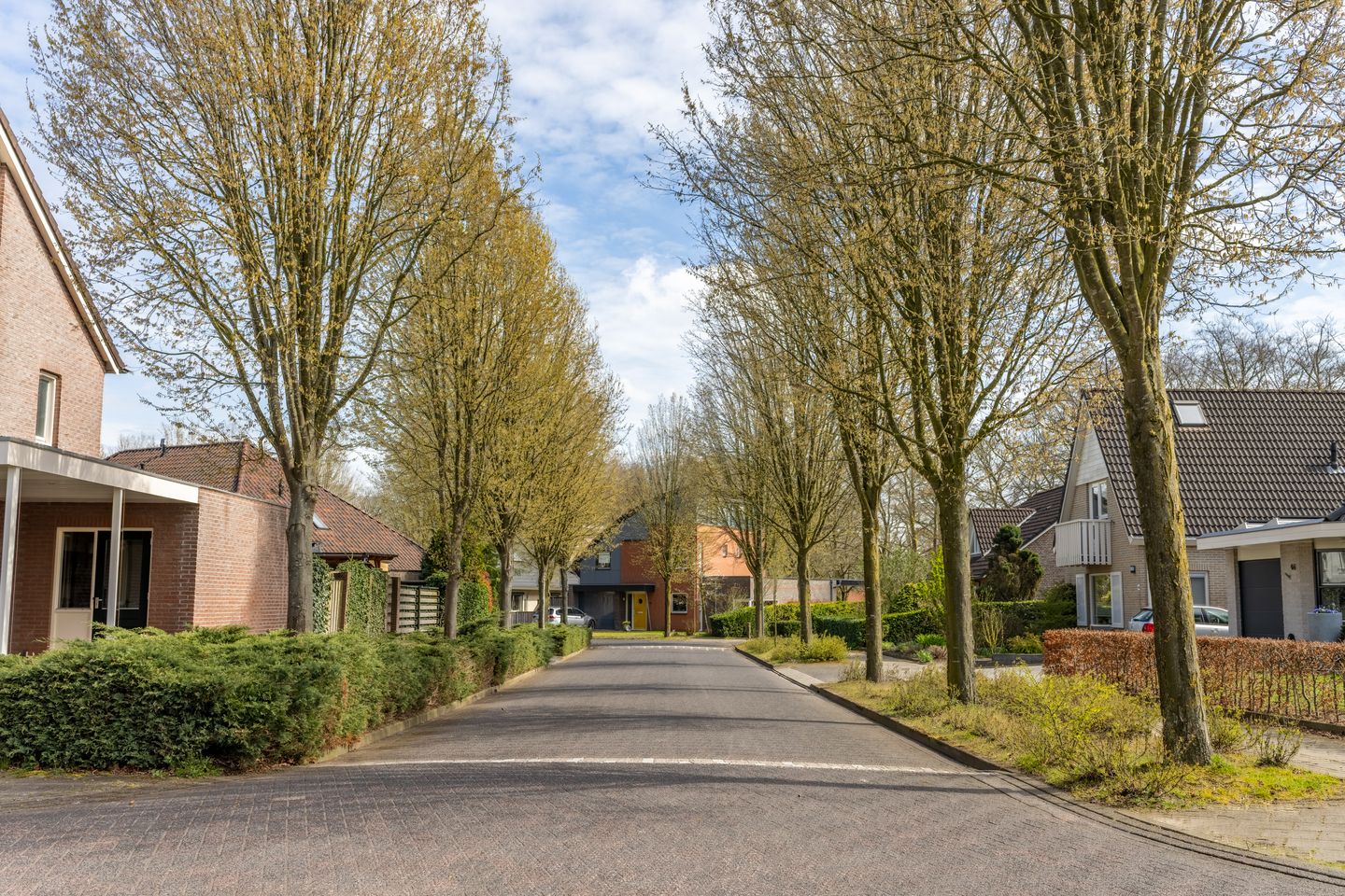 Foto 4 van Elfenbank 1