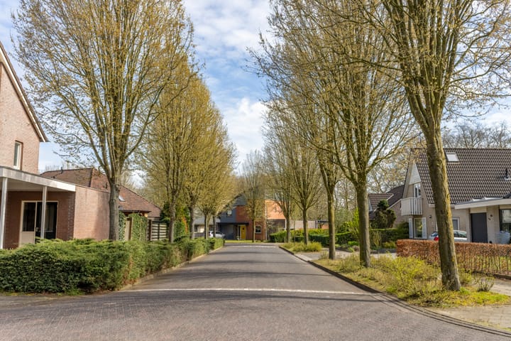 Foto 4 van Elfenbank 1