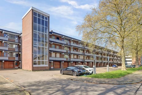 Orionsingel thumbnail