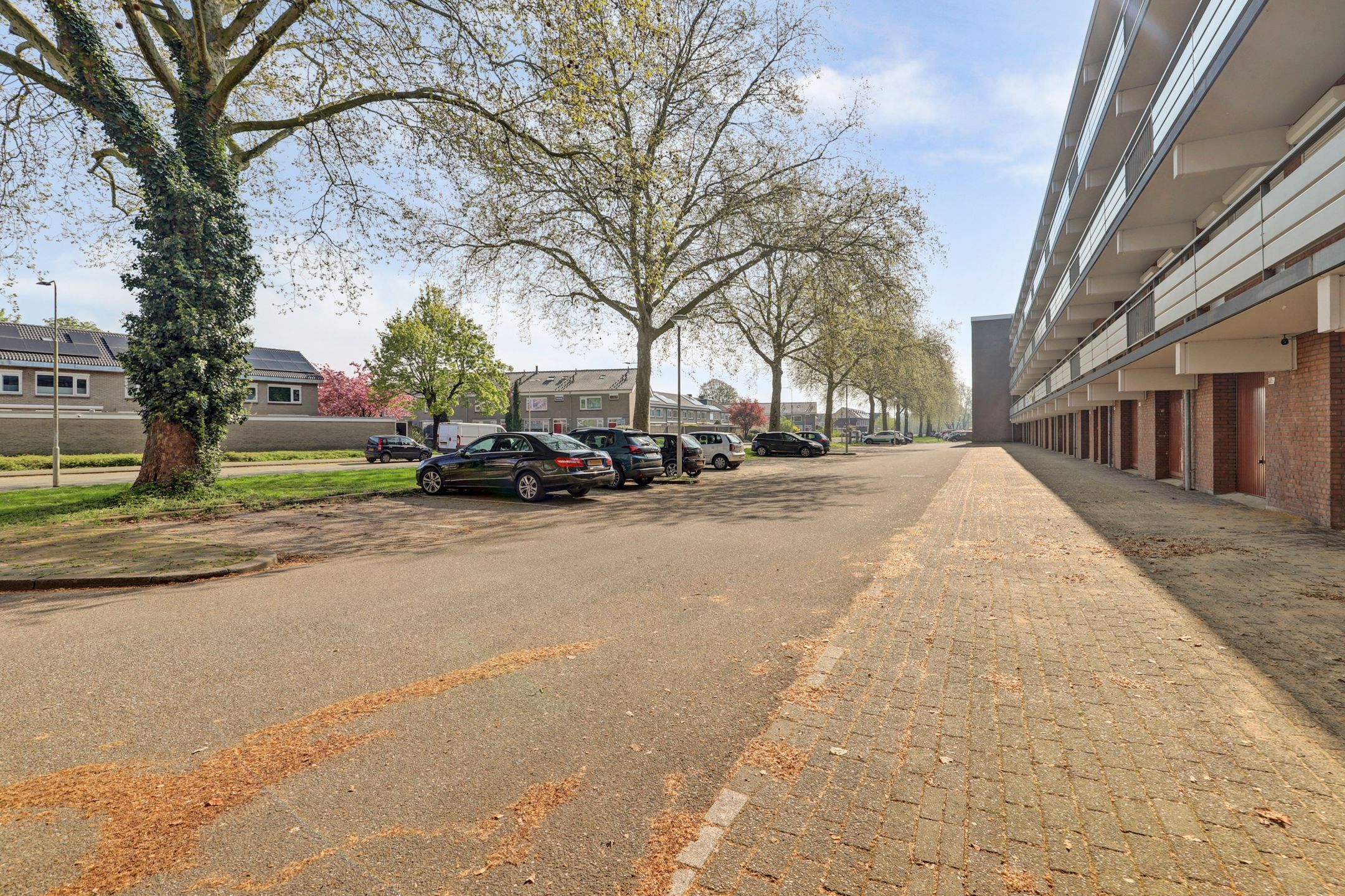 Photo 6 of Orionsingel 240