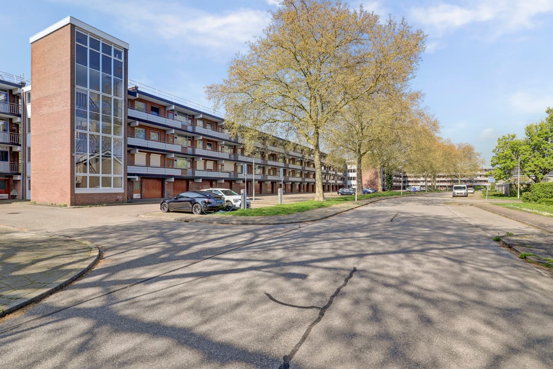 Photo 7 of Orionsingel 240