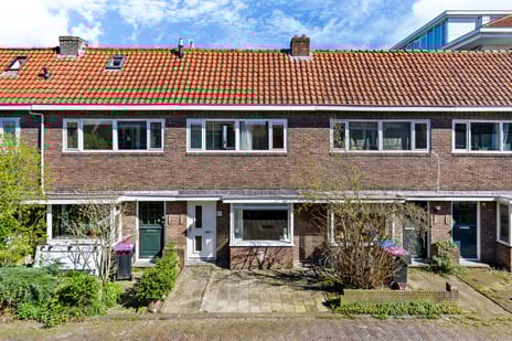 Paulus Potterstraat thumbnail