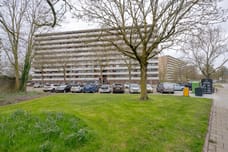 Afbeelding van Seringenplantsoen 545 - Tweede foto