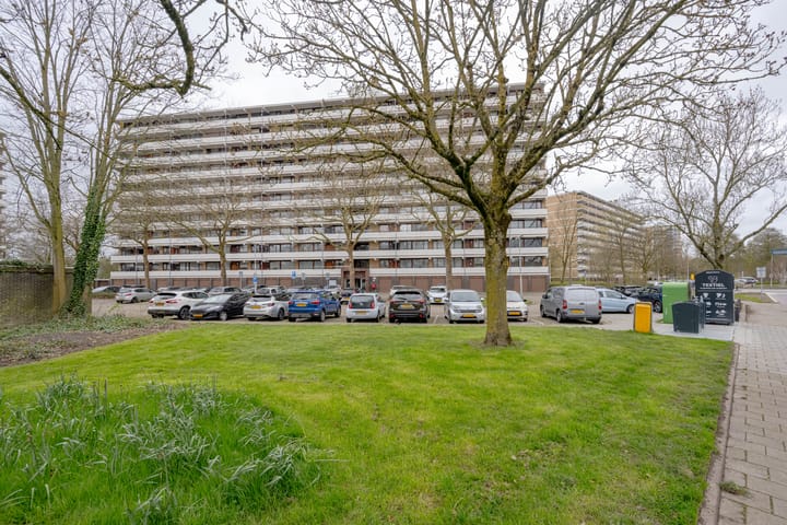 Photo 2 of Seringenplantsoen 545
