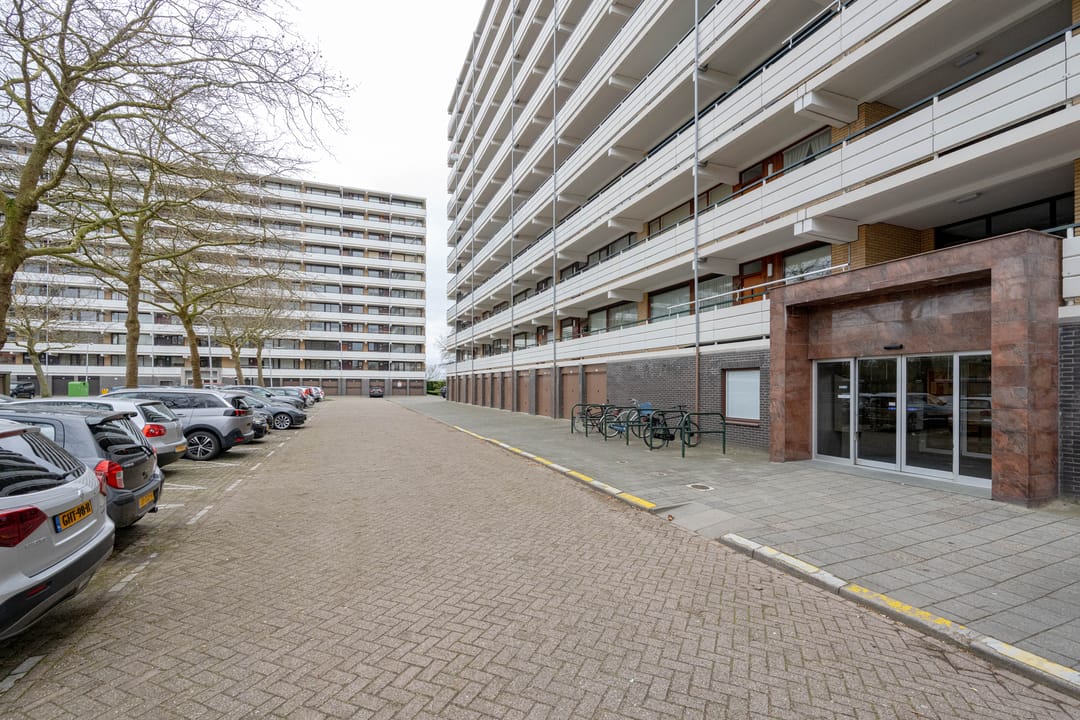 Photo 7 of Seringenplantsoen 545