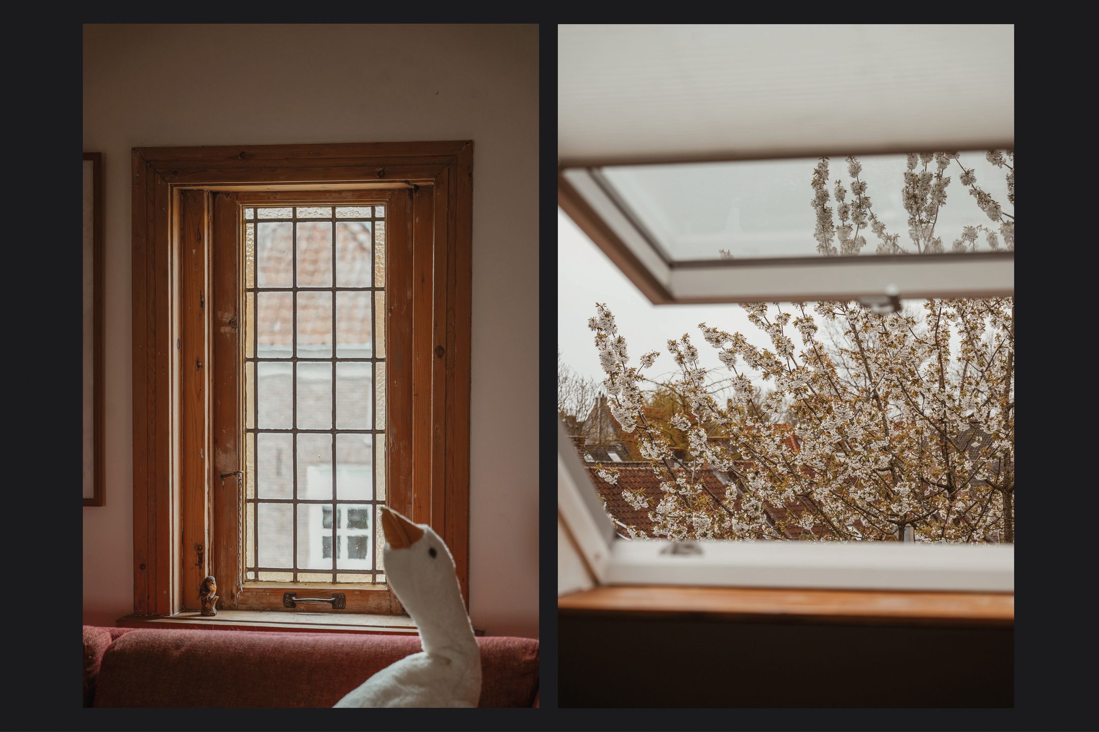 Foto 33 van Buitenhuizenpoort 5