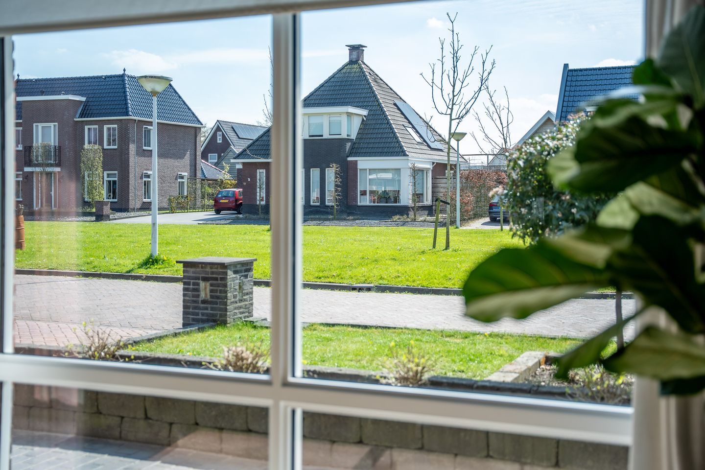 Foto 10 van Zwanebloem 10