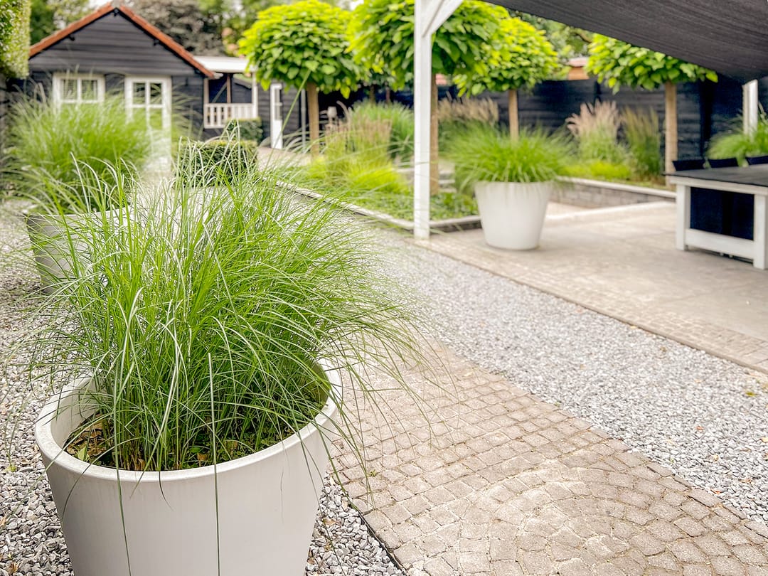 Foto 47 van Rijnstraat 13