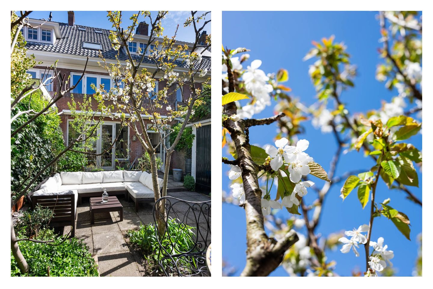 Foto 50 van Vrijburglaan 34