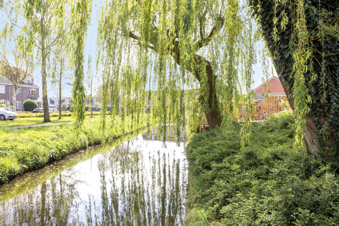 Photo 46 of Groenendael 43