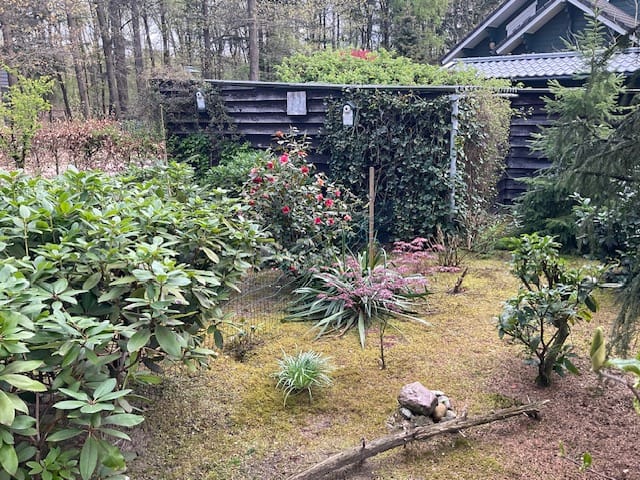 Photo 57 of Horalaan 12
