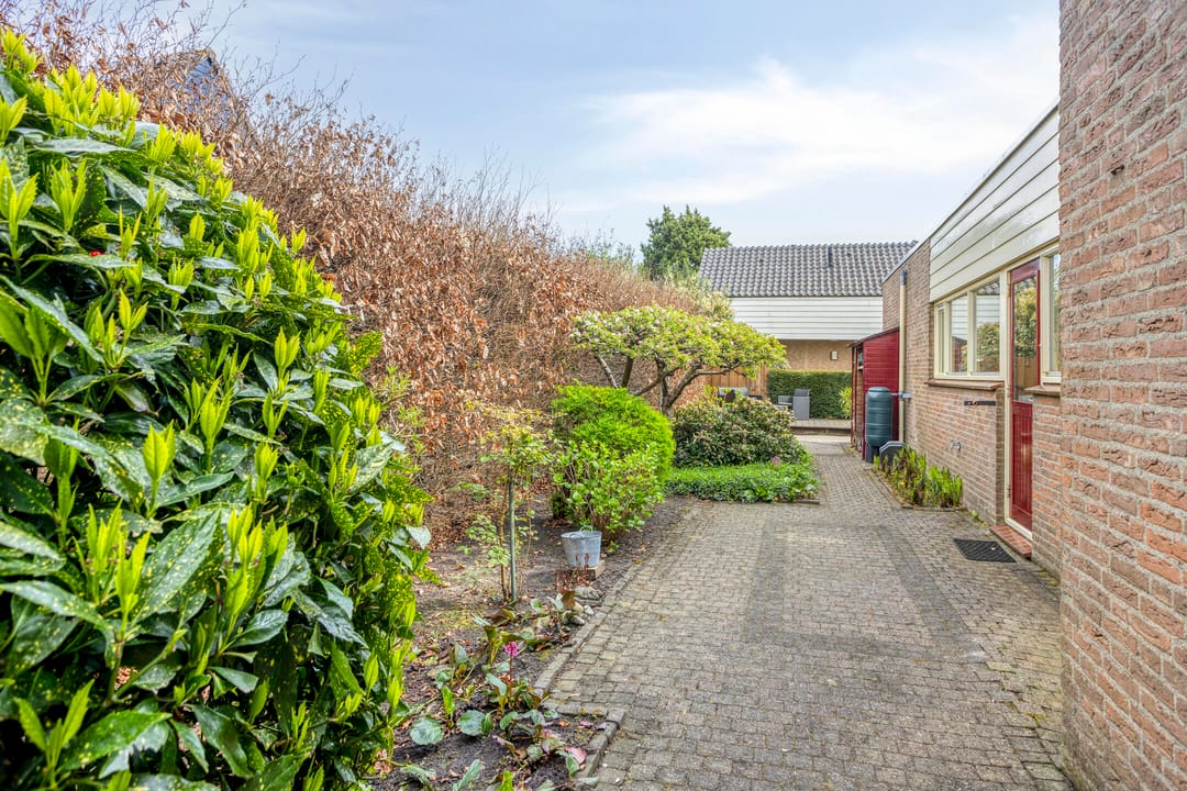 Foto 38 van Kamvaren 9