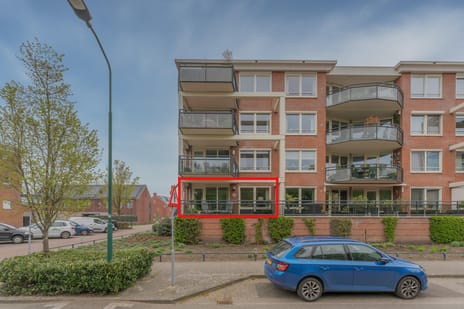 undefined main image