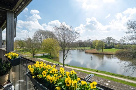 van Wyckelstrjitte 34 tertiary image