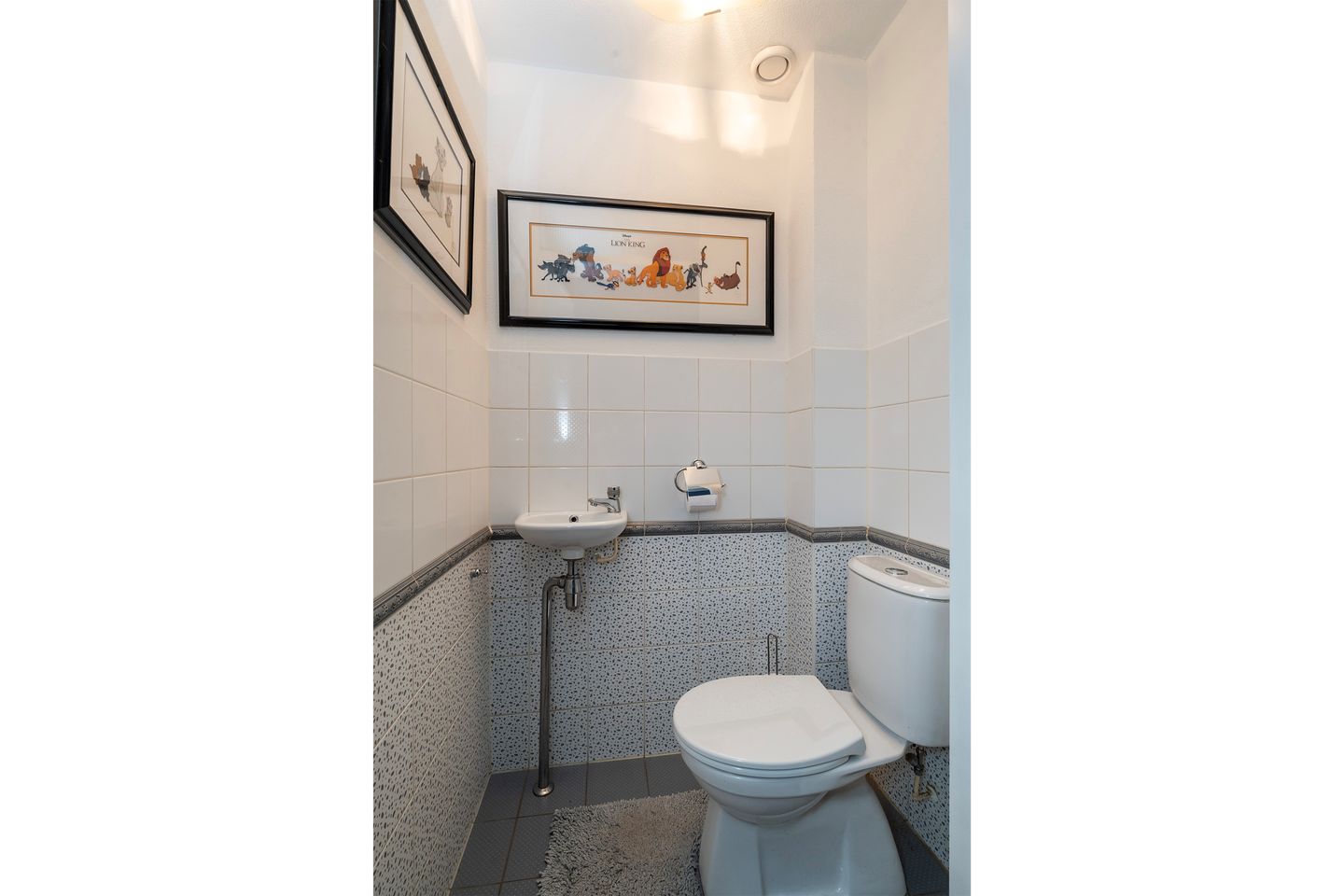 Foto 14 van Meerum Terwogtlaan 283