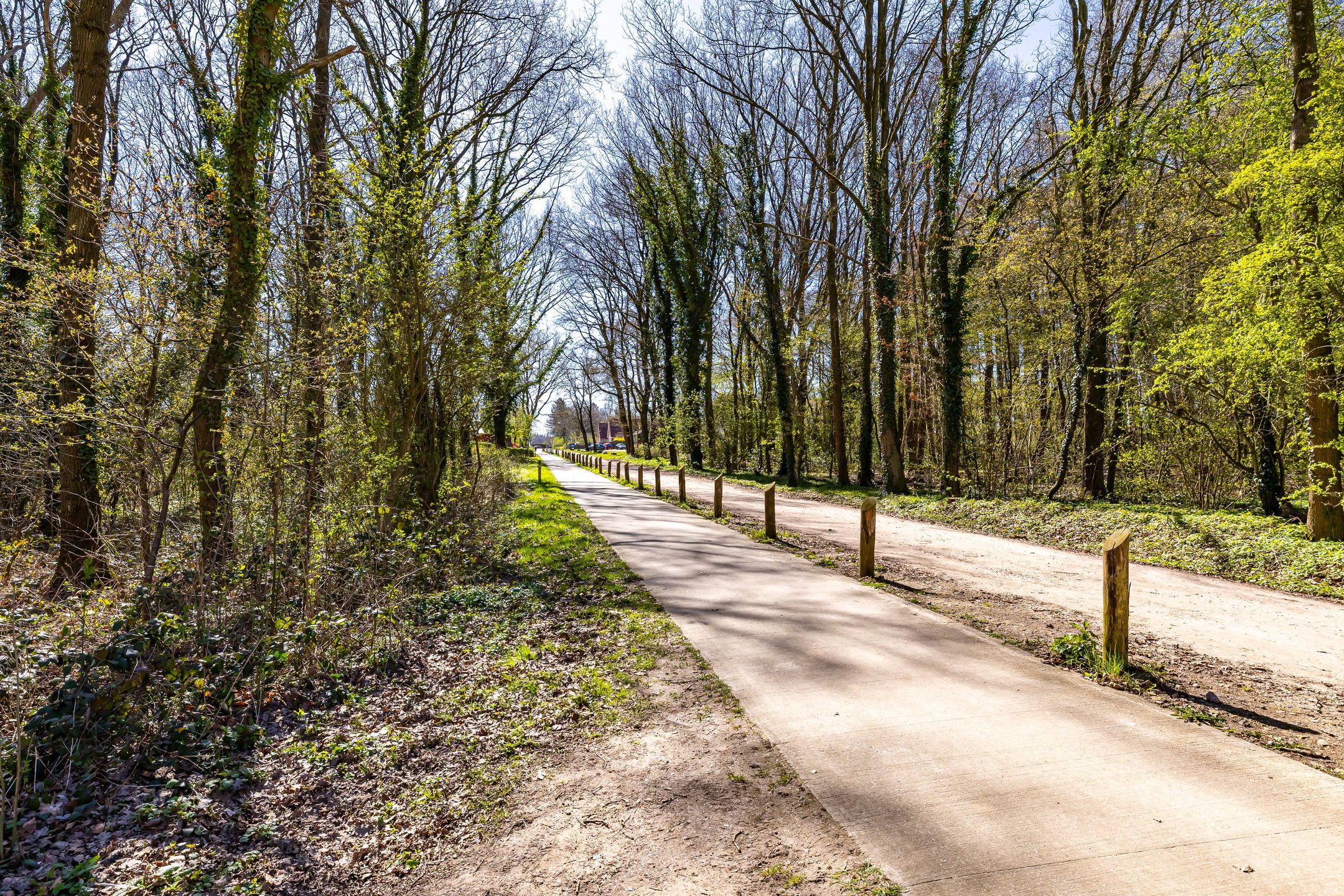 Foto 51 van Bosweg 2