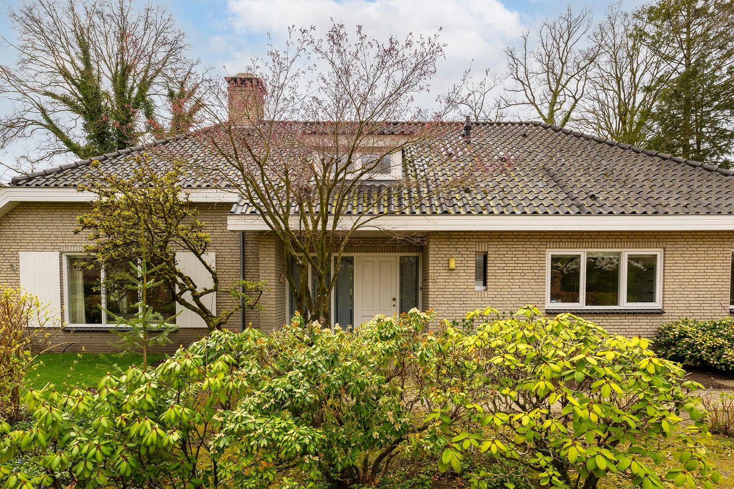 Foto 5 van Patrijslaan 5