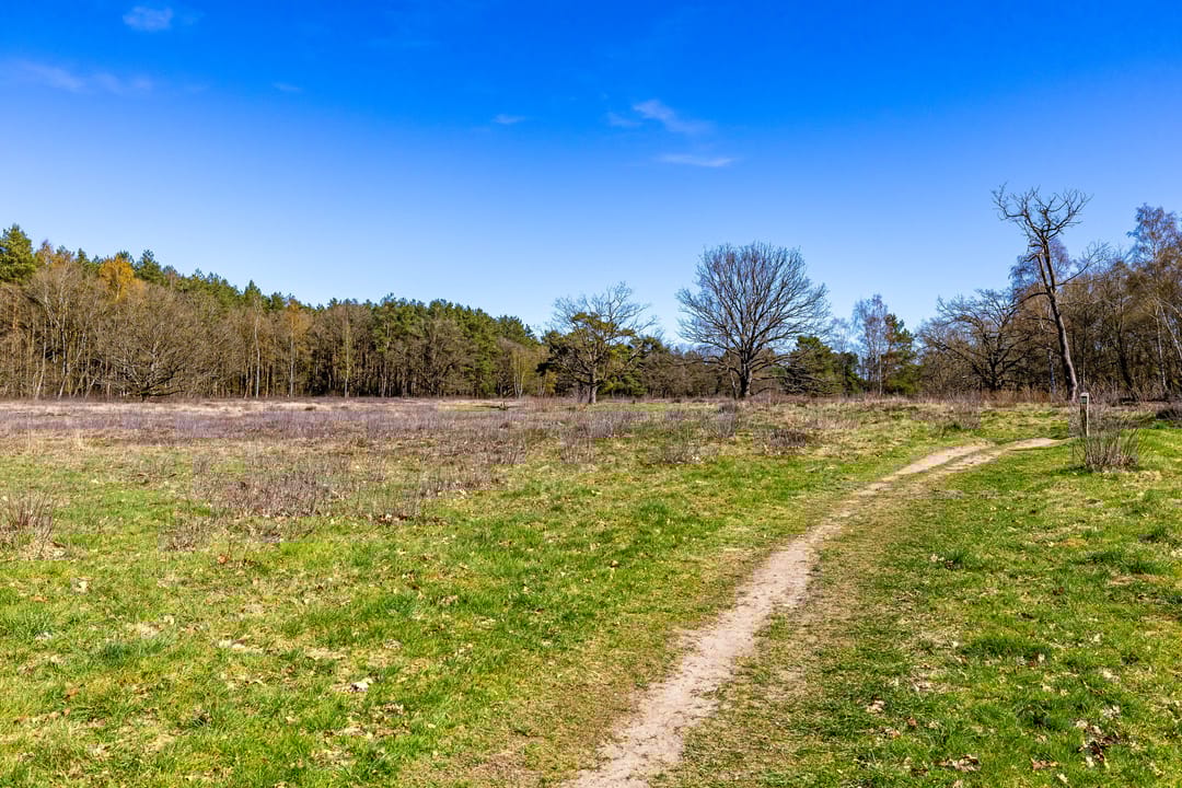 Foto 52 van Bosweg 2