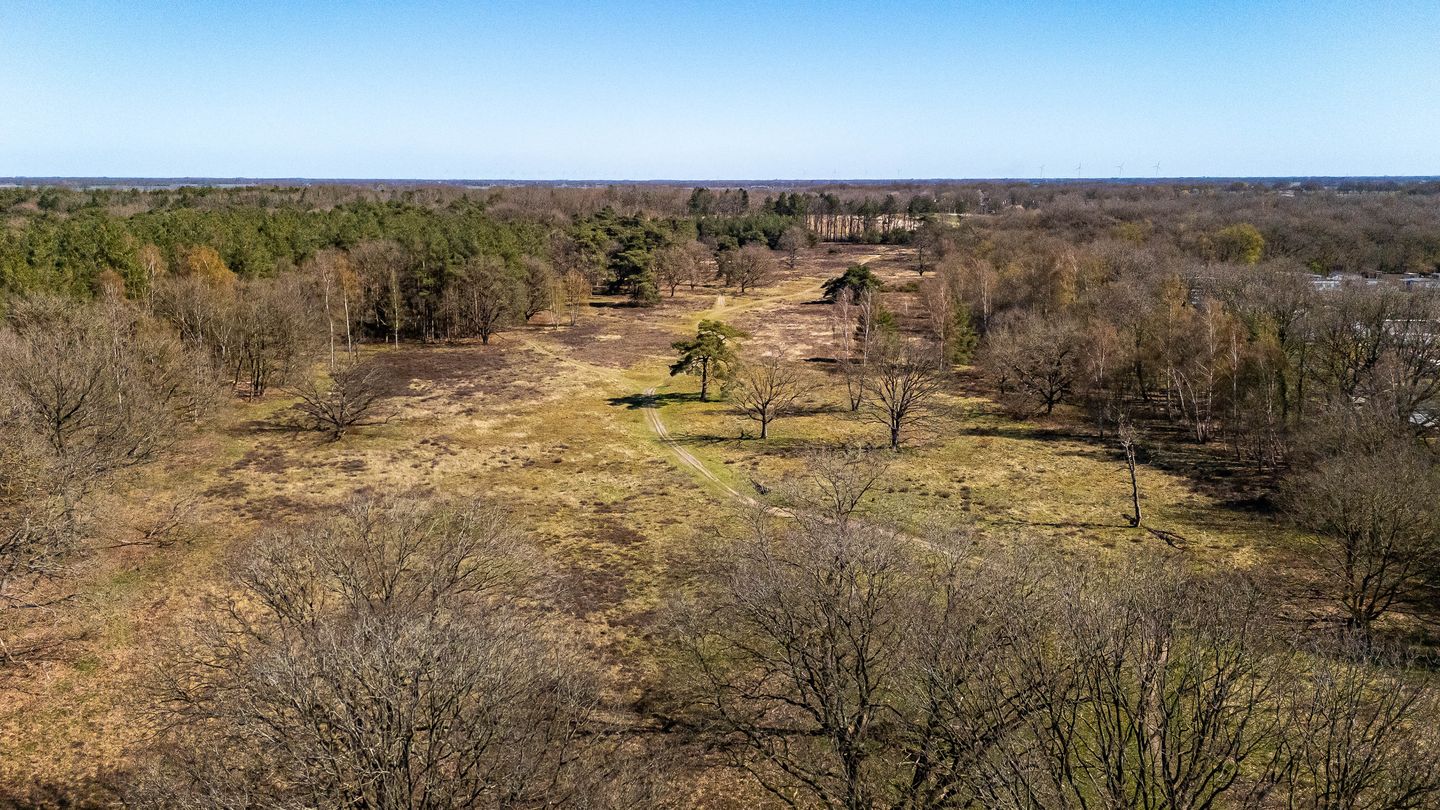 Foto 49 van Bosweg 2