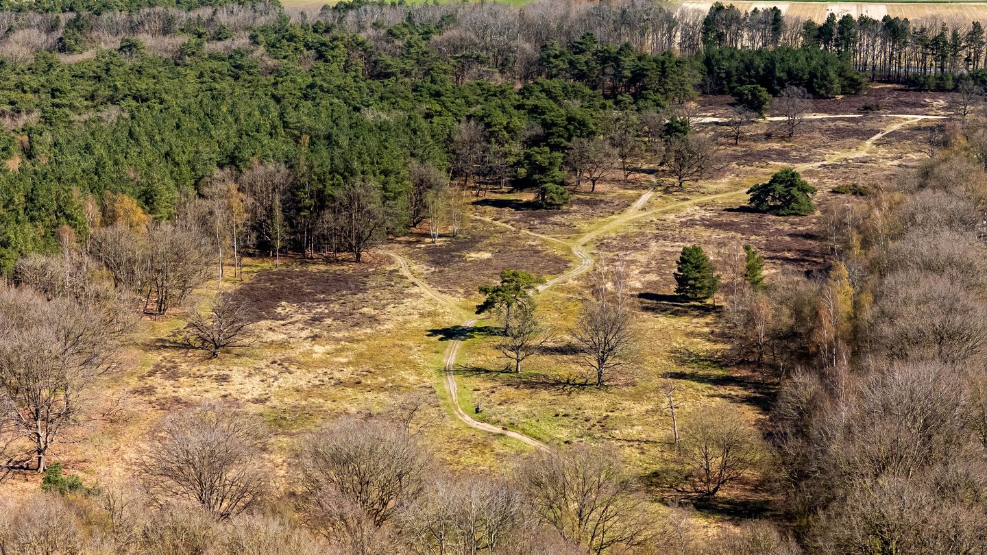 Foto 50 van Bosweg 2