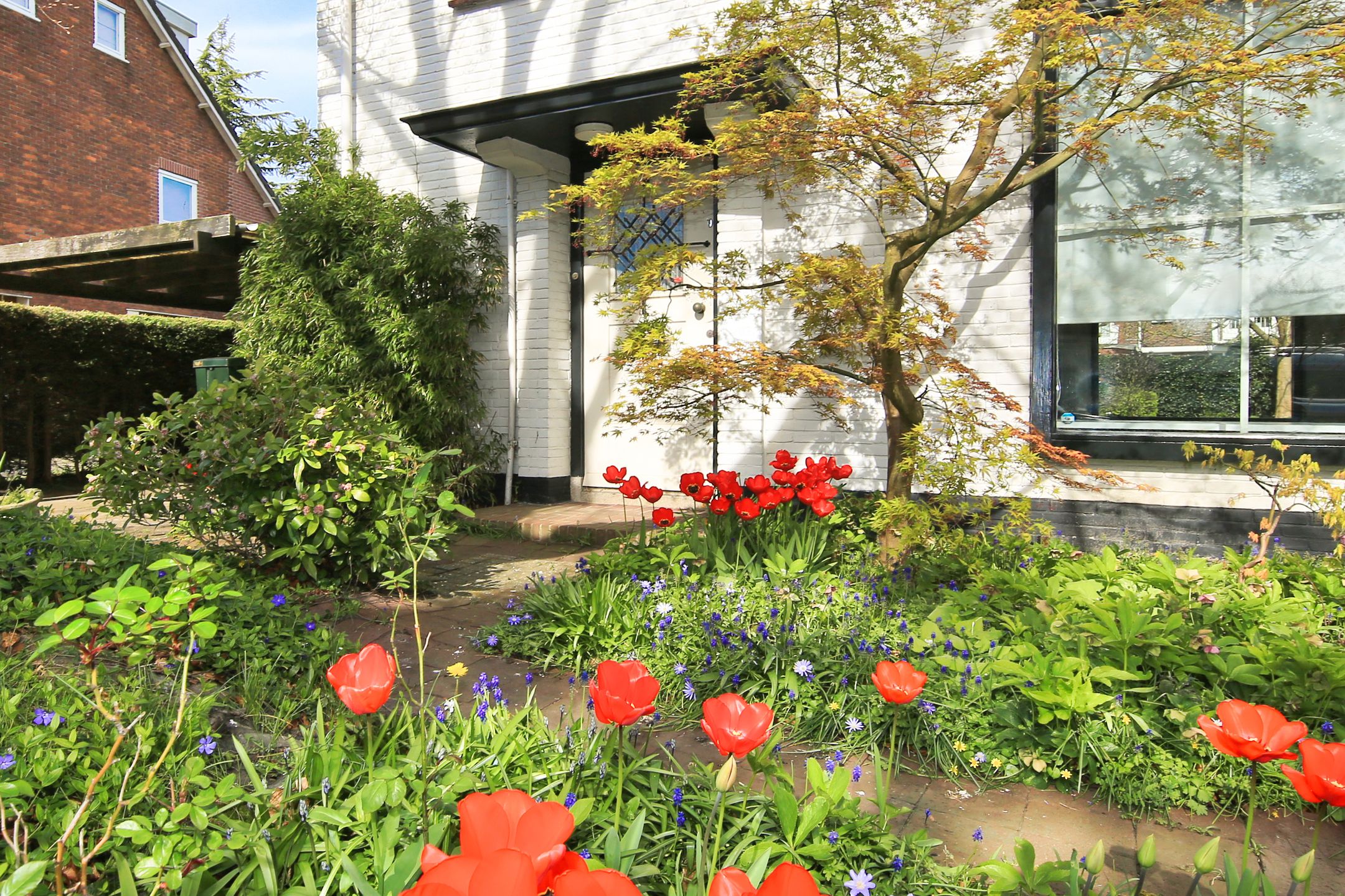 Foto 39 van Parkietstraat 12