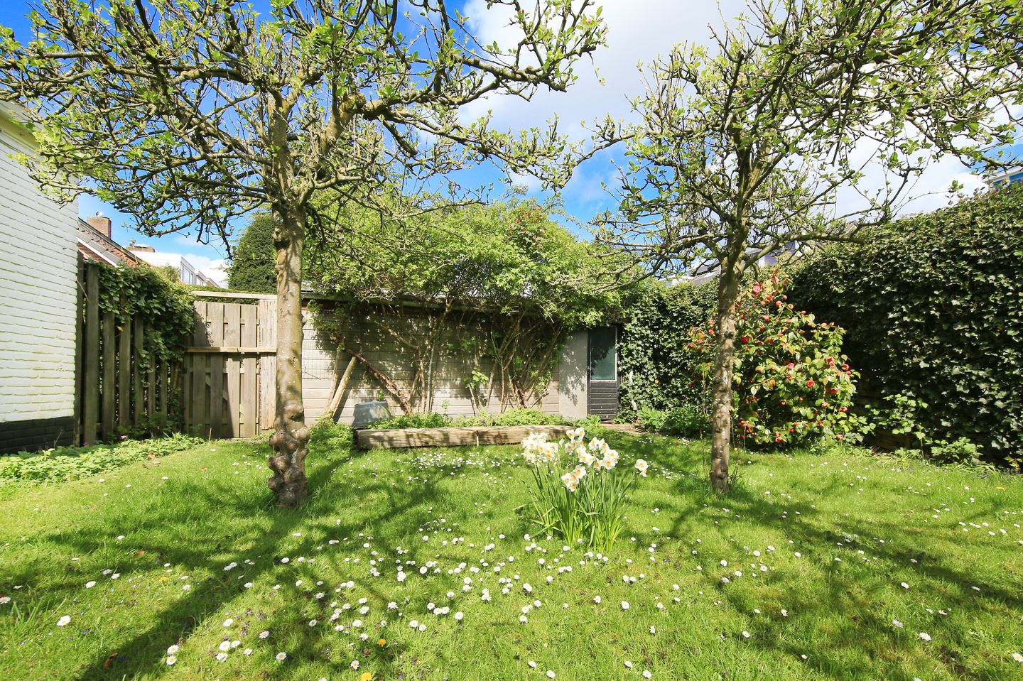 Foto 34 van Parkietstraat 12