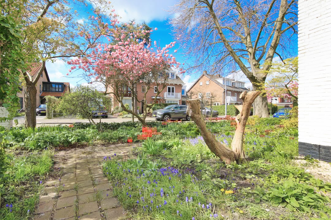 Foto 37 van Parkietstraat 12