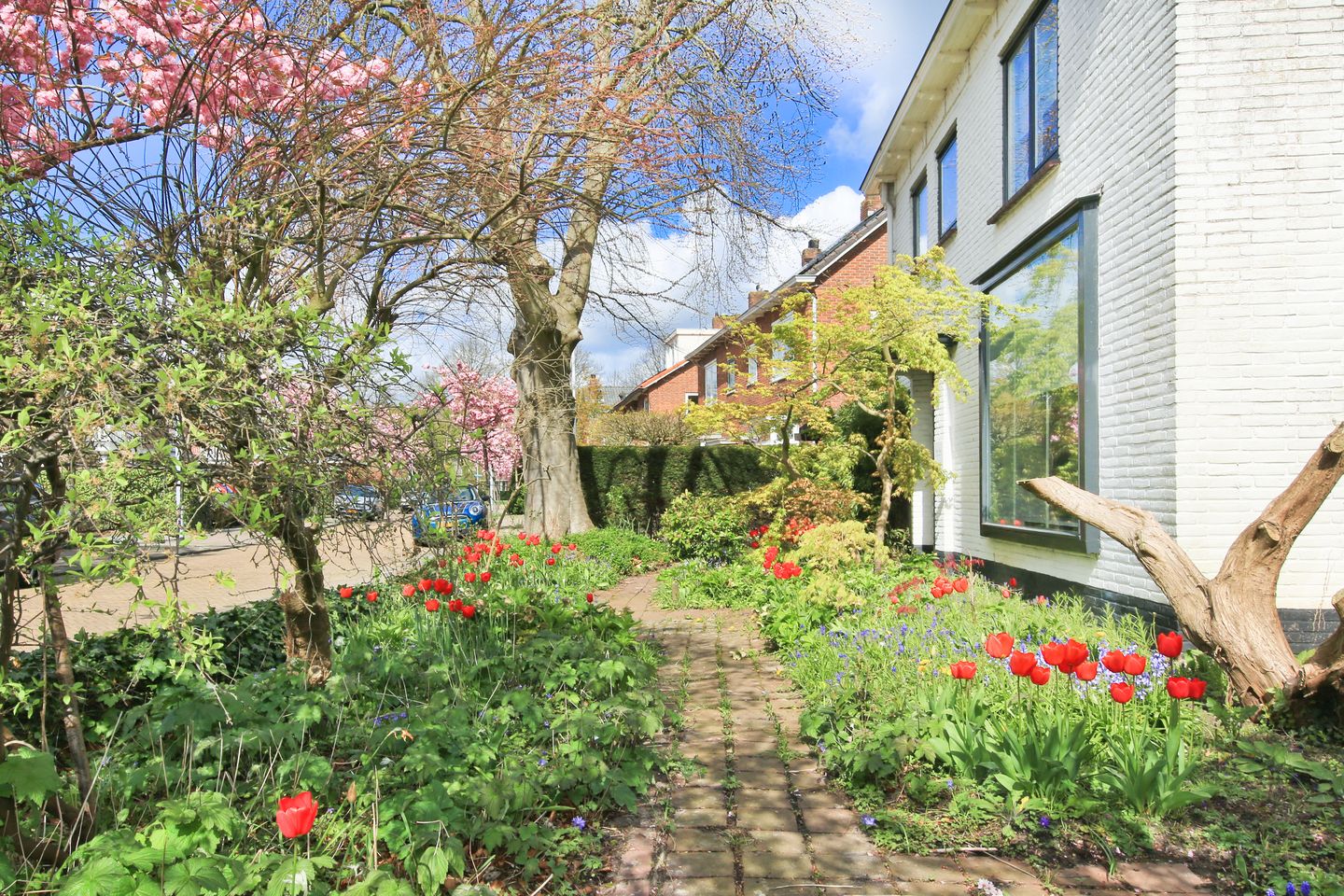 Foto 40 van Parkietstraat 12