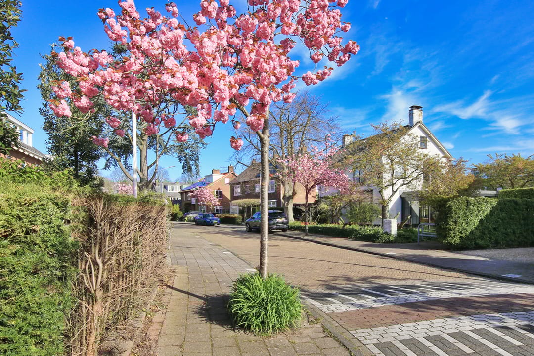 Foto 43 van Parkietstraat 12